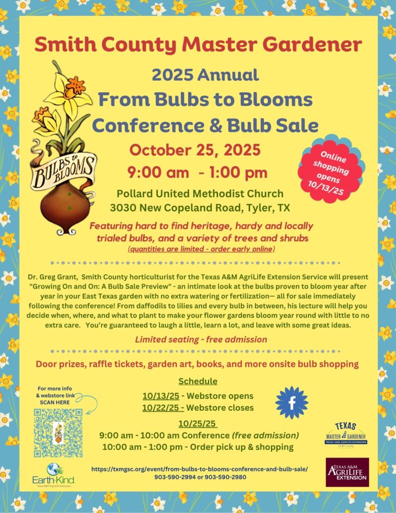 2025 B2B Flyer Final with new website