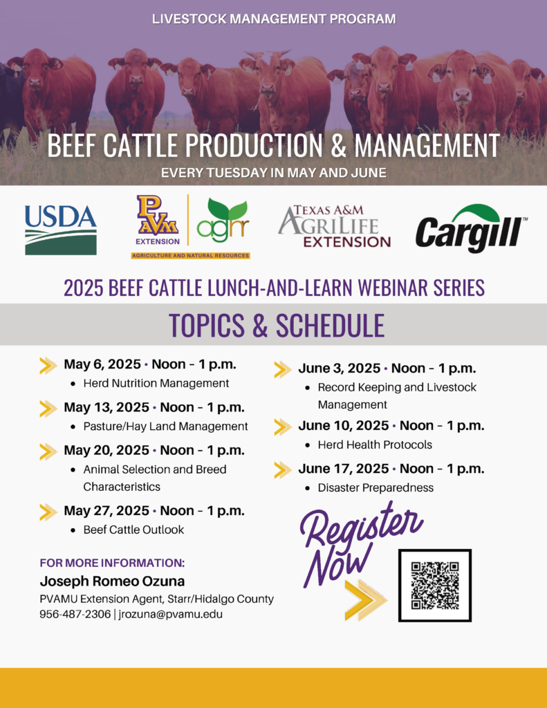 2025 Beef Cattle Lunch-and-Learn Webinar Series Final