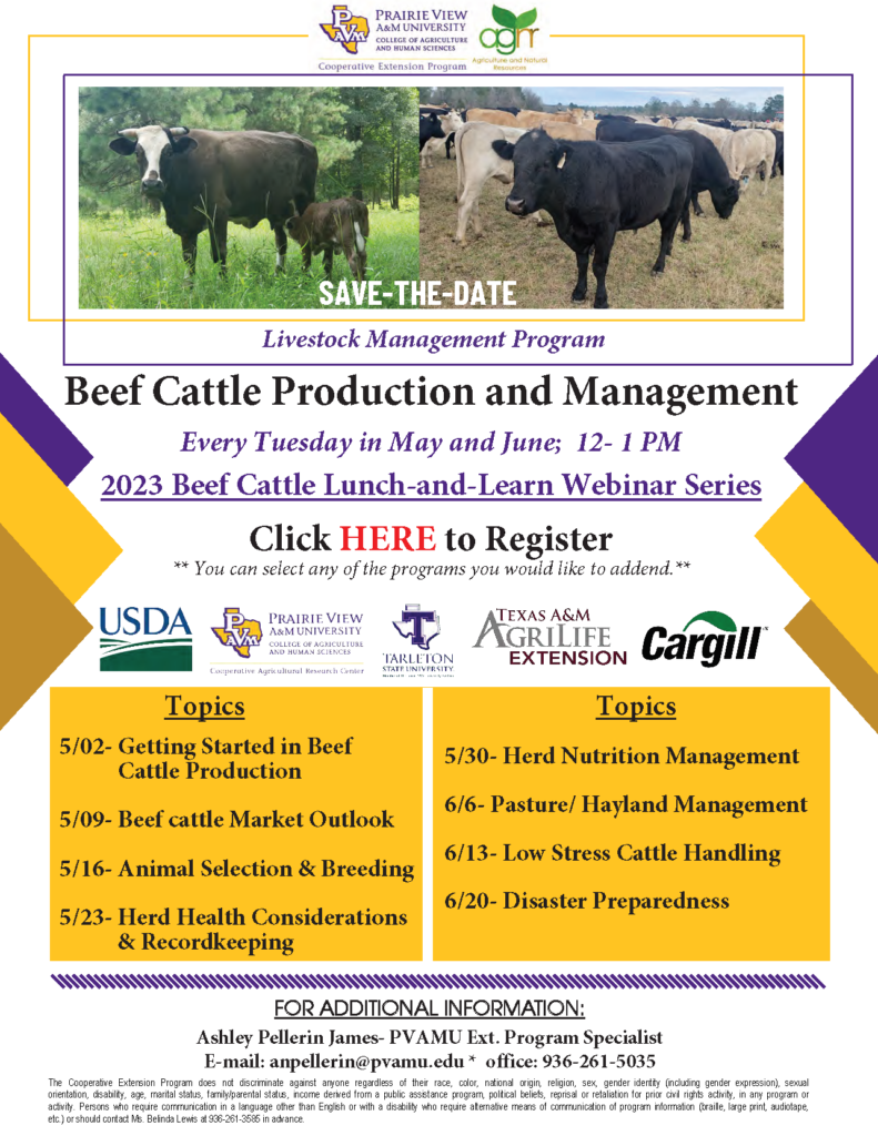 Beef Cattle Web Series Flyer 2023- Save the Date 2
