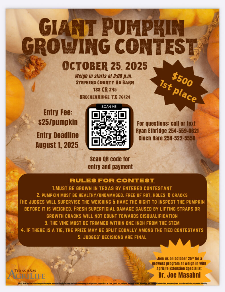 Master gardener Contest