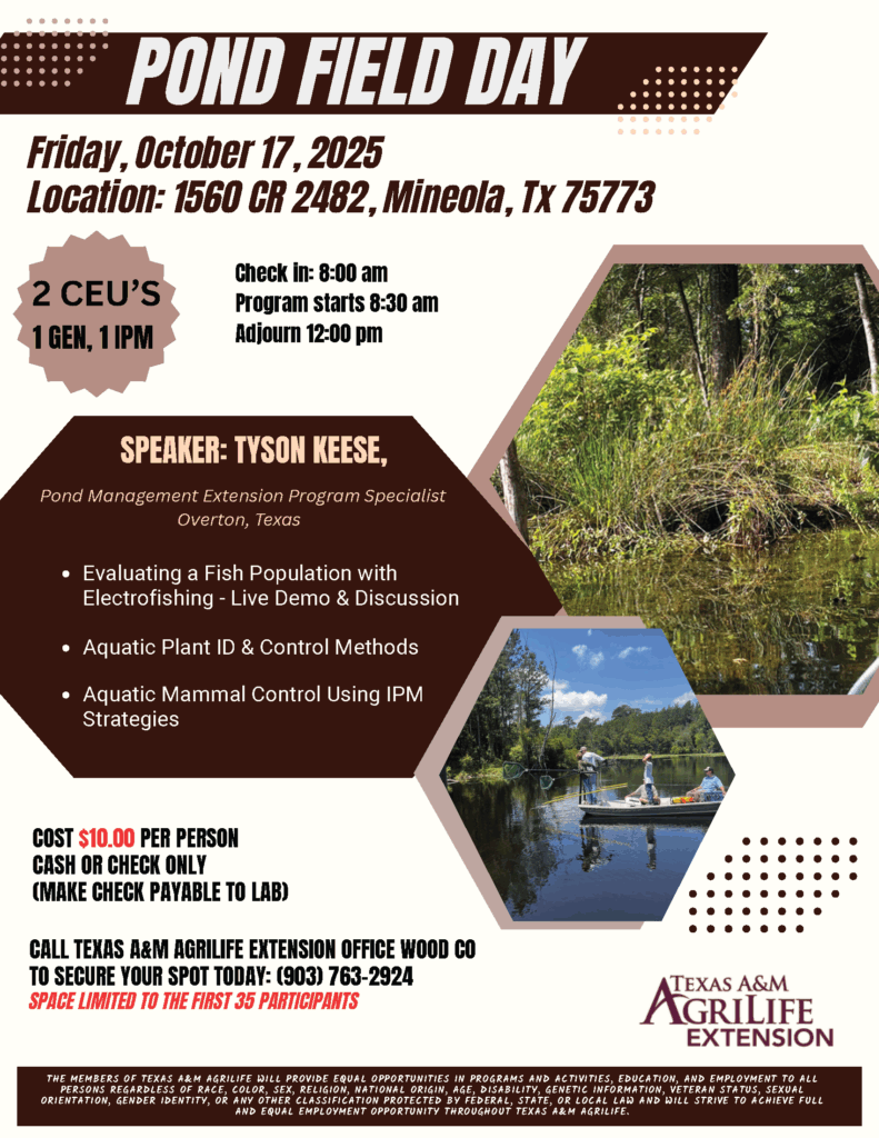 Pond Field Day