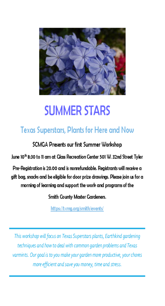 Summer starrs flyer 2